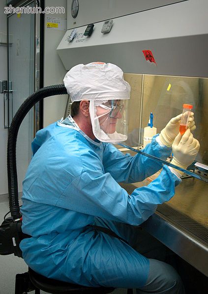 Scientist studying the H5N1 influenza virus