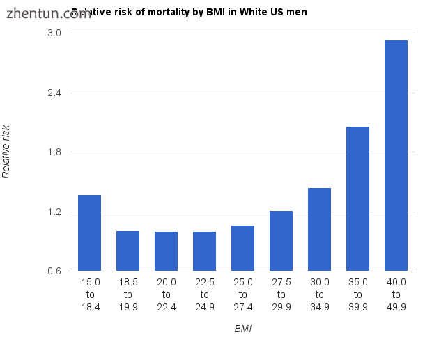 Relative risk of death over 10 years for white men (left) and women (right) who have never smoked in ...