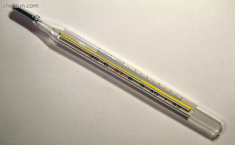 An analog medical thermometer showing a temperature of 38.8 °C or 101.8 °F.JPG
