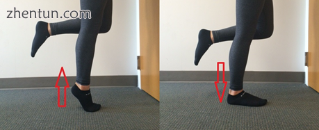 This photo demonstrates a calf raise exercise that can be performed to strengthen.png