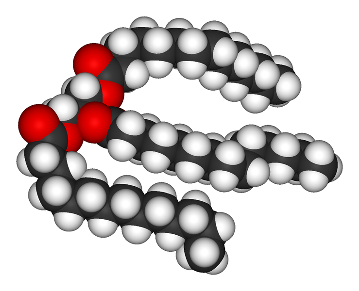 Structure of a triacylglycerol lipid.png