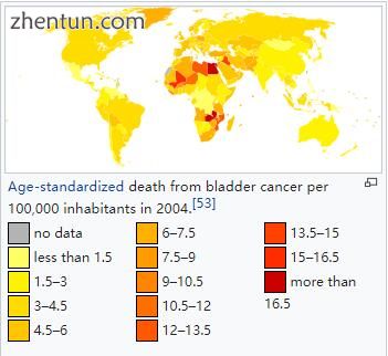 Age-standardized death from bladder cancer per 100,000 inhabitants in 2004.[53].jpg