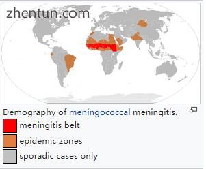 Demography of meningococcal meningitis..jpg