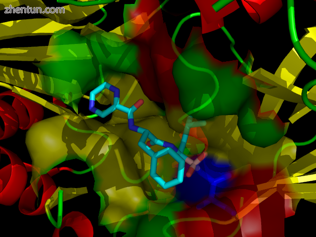 Bortezomib bound to the core particle in a yeast proteasome. The bortezom.png
