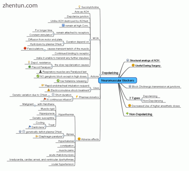 Mind Map showing a summary of Neuromuscular depolarizing agent.gif