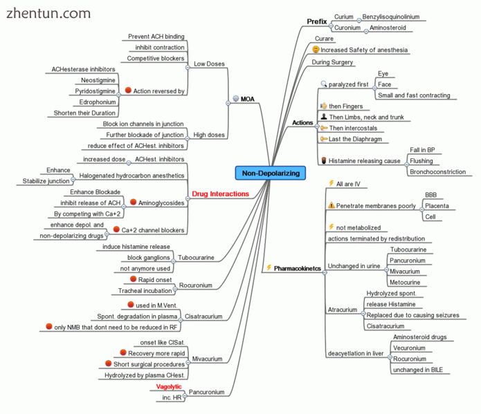 Mind Map showing a summary of Neuromuscular nondepolarizing agent.gif