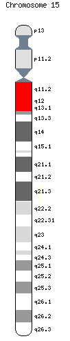 Chromosome 15.PNG