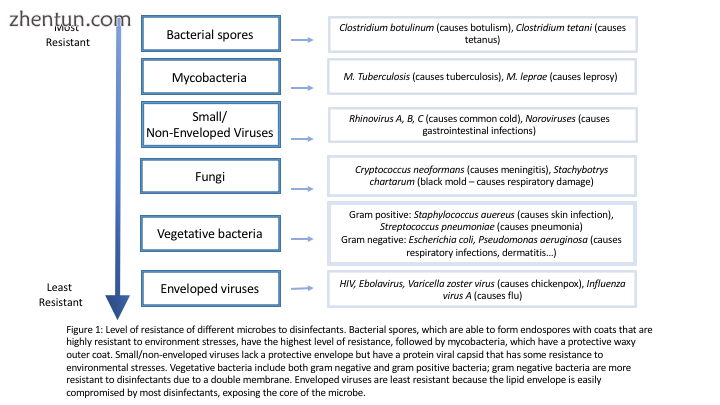 Levels of resistance of microbes to disinfectants..png