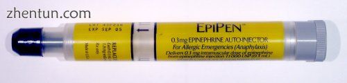 An old version of an EpiPen auto-injector.jpg