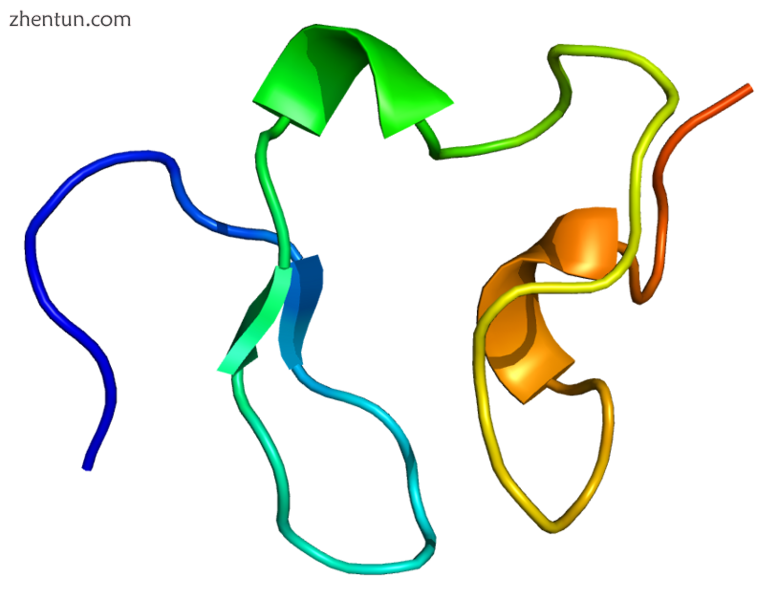 Schematic representation of the LDL receptor protein..png