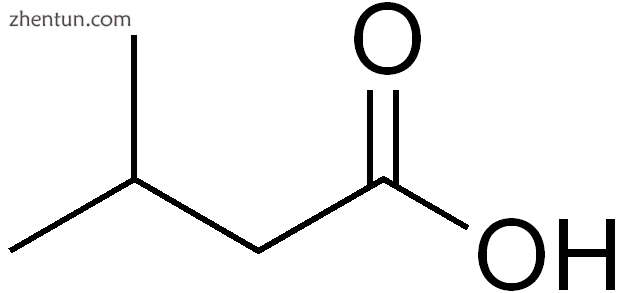 Isovaleric acid.png