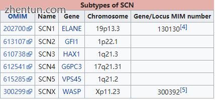 Subtypes of SCN.jpg
