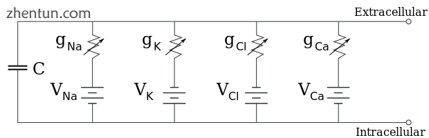Equivalent circuit for a patch of membrane, consisting of a fixed capacitance in.png
