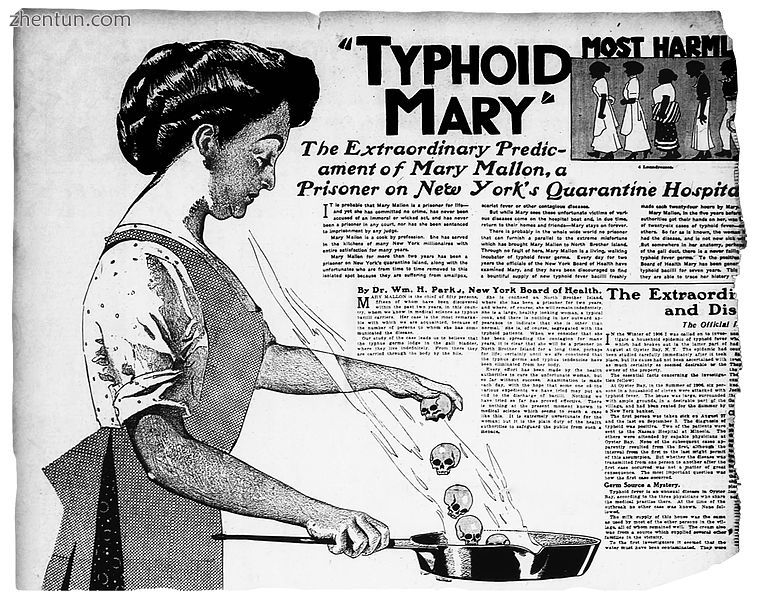 Mary Mallon (a.k.a. Typhoid Mary) was an asymptomatic carrier of typhoid fever. .jpg