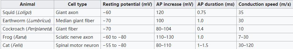 Comparison of action potentials (APs) from a representative cross-section of ani.jpg