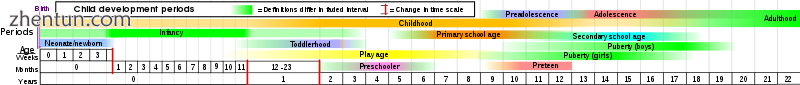 Child development stages.png