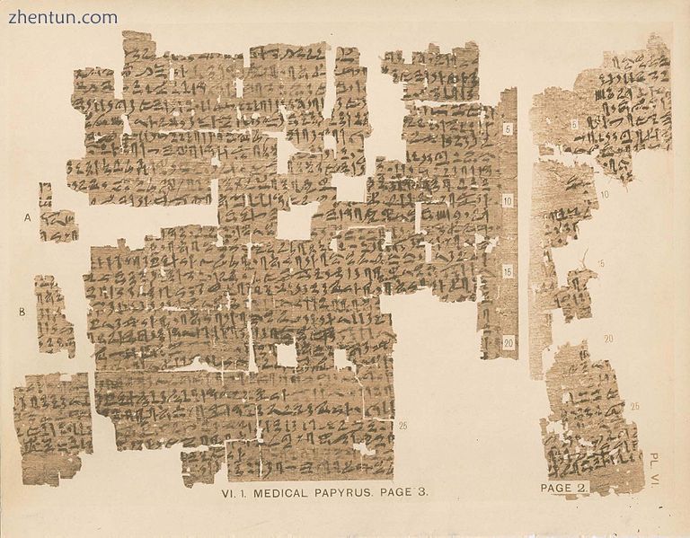 Part of page 2 and page 3 of the Kahun Gynaecological Papyrus.jpg