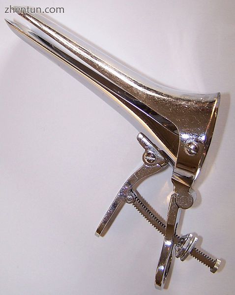 Duckbill shape of a two-bladed speculum.jpg