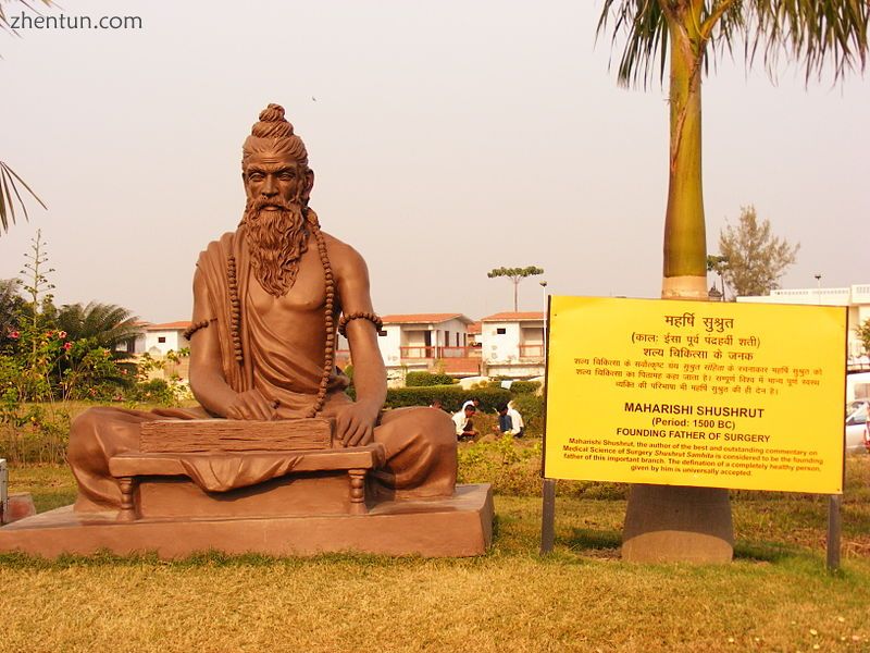 Statue of Sushruta, the Father of Plastic Surgery, at Haridwar.jpg