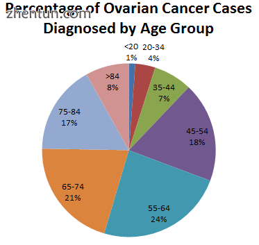 Ovarian cancer cases diagnosed by age group in the US[74].png