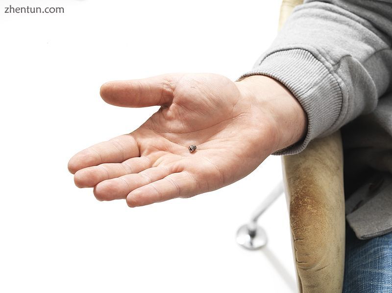 An implant shown in actual size in adult hand.jpg