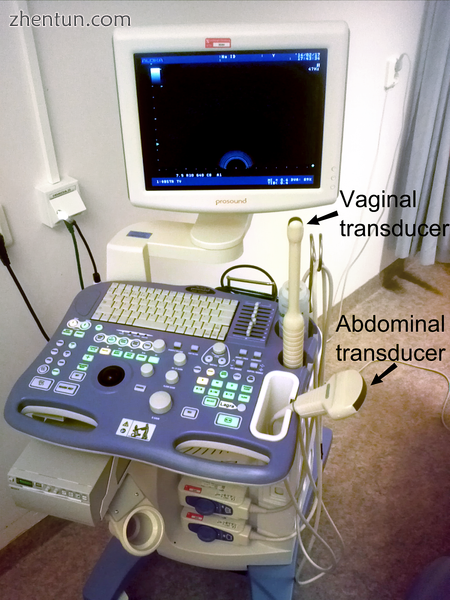 Device for both vaginal ultrasonography and abdominal ultrasonography..png