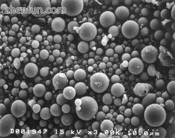 Photomicrograph made with a Scanning Electron Microscope.jpg