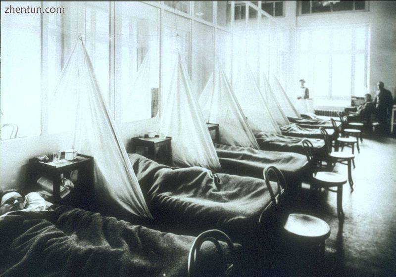 American Expeditionary Force victims of the Spanish flu at U.S. Army Camp Hospit.jpg