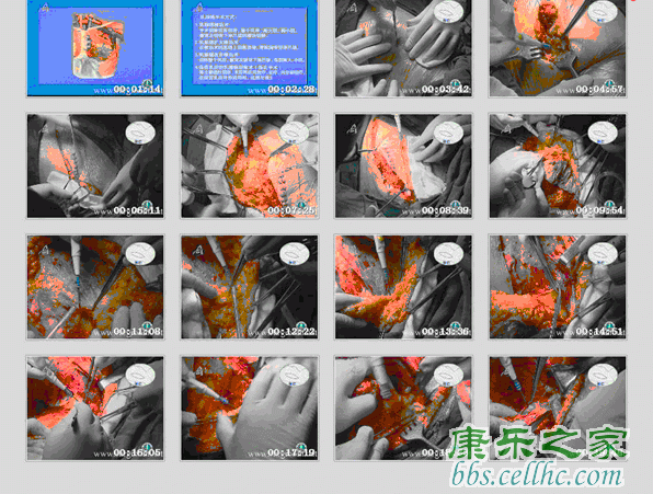 QQ截图20111212094237.gif