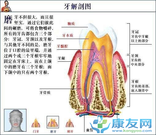 QQ截图20120615202847.png