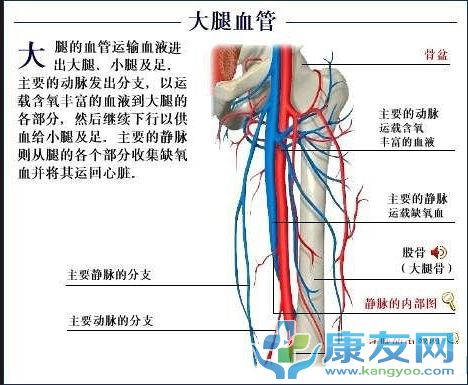 QQ截图20120615202908.png