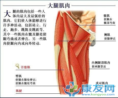 QQ截图20120615202939.png