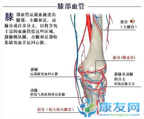 QQ截图20120615202950.png