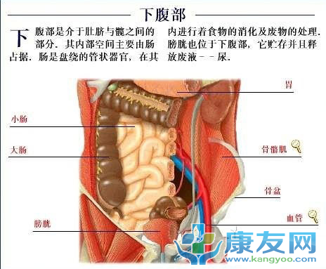 QQ截图20120615203257.png