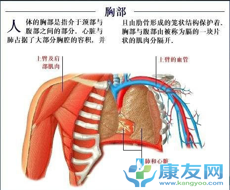 QQ截图20120615203317.png