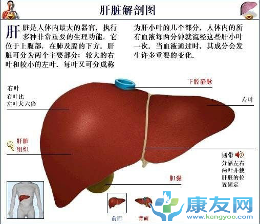 QQ截图20120615203336.png