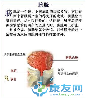 QQ截图20120615203401.png