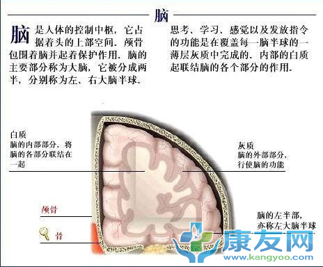 QQ截图20120615203538.png