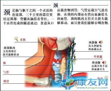 QQ截图20120615203602.png