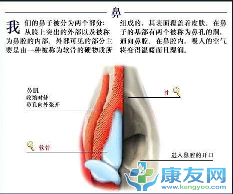 QQ截图20120615203652.png