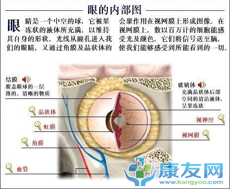 QQ截图20120615203712.png