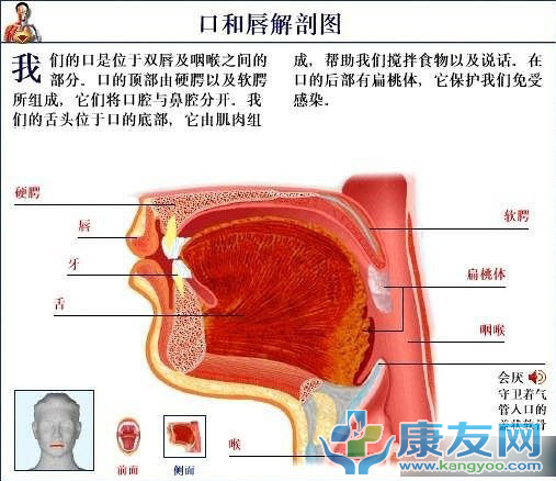 QQ截图20120615203724.png