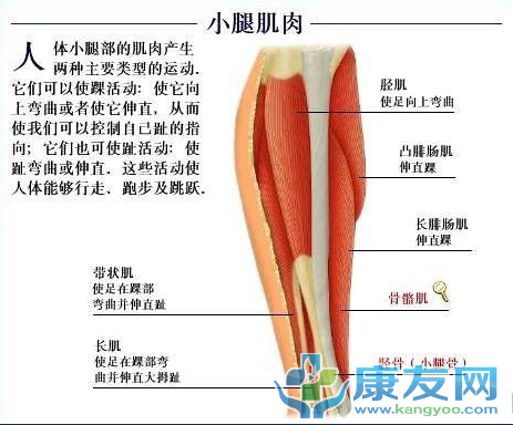 QQ截图20120615203736.png