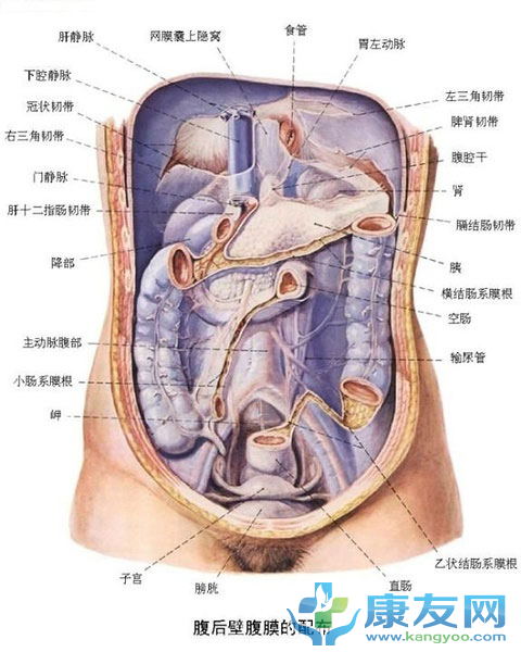 QQ截图20120615203759.png