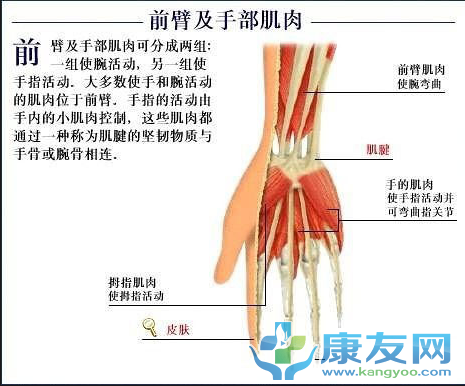 QQ截图20120615203826.png