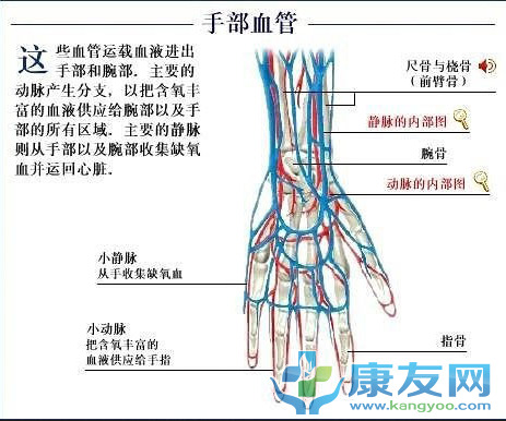 QQ截图20120615203838.png