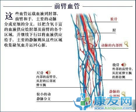 QQ截图20120615203847.png