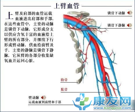 QQ截图20120615203856.png