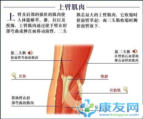 QQ截图20120615203907.png