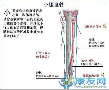 QQ截图20120615203929.png